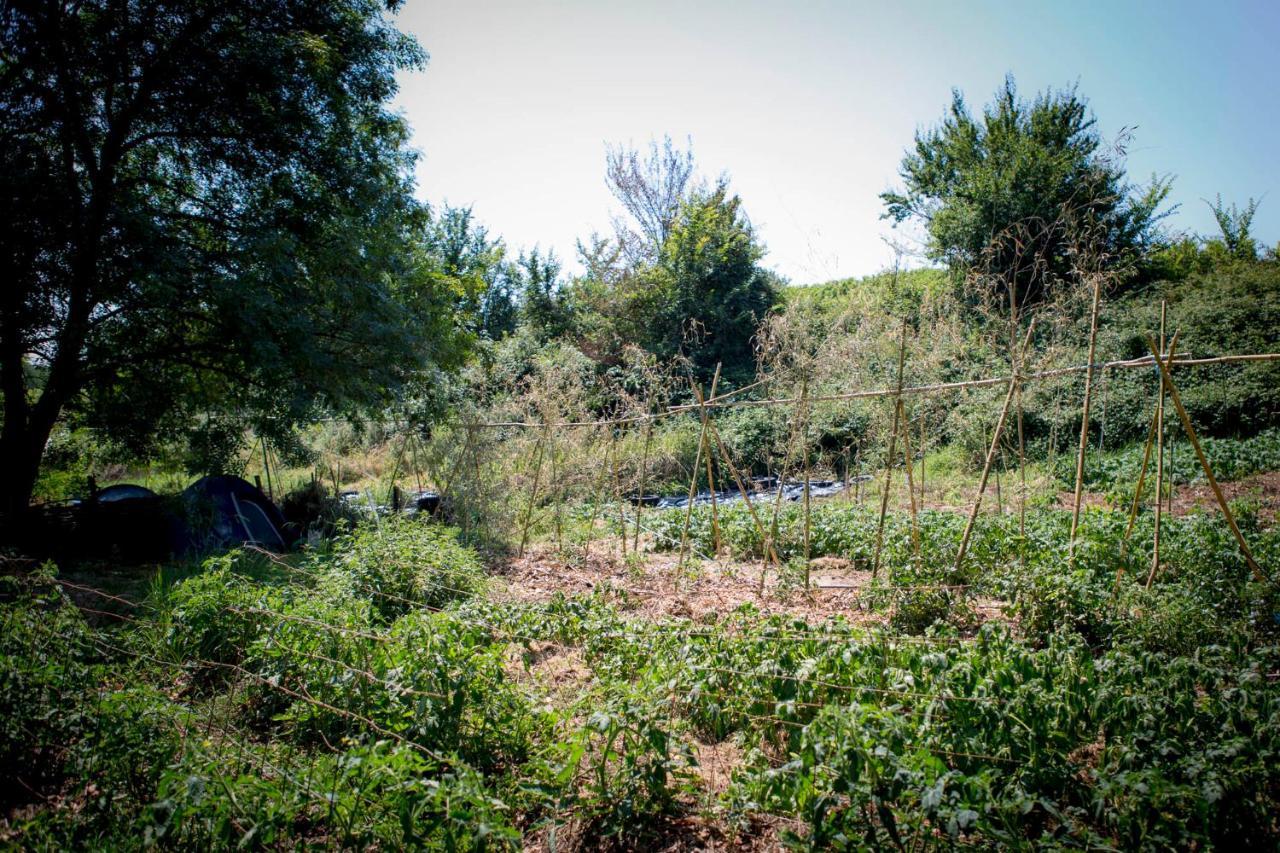 Tente En Permaculture Pirate Creysse  Exterior photo